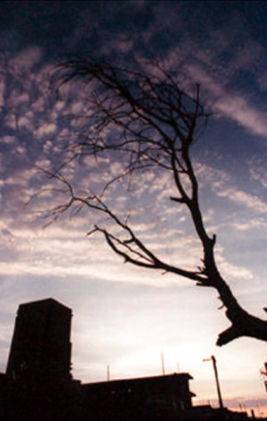 Fotografías de Rodrigo Villena